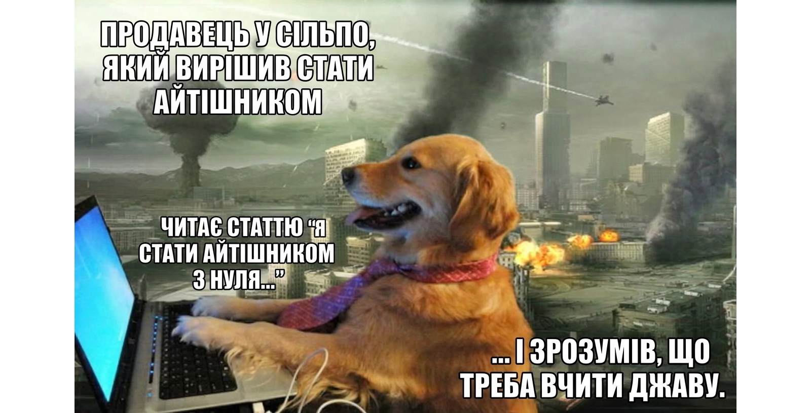 Як стати айтішником з нуля: що вчити, яку професію обрати та як знайти першу роботу в IT